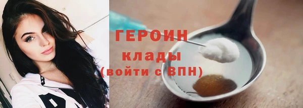 прущие грибы Верея